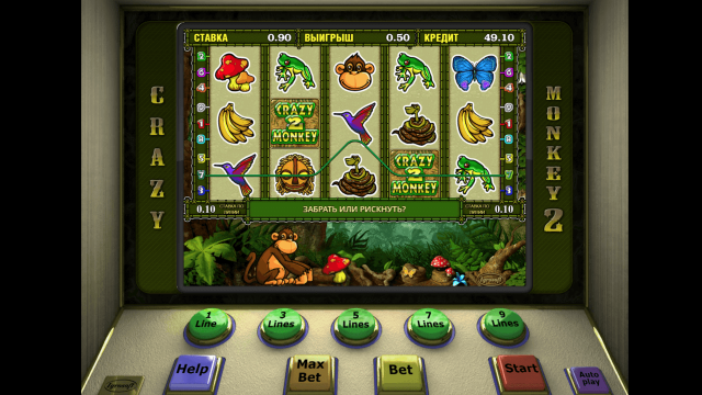 Crazy Monkey 2 6